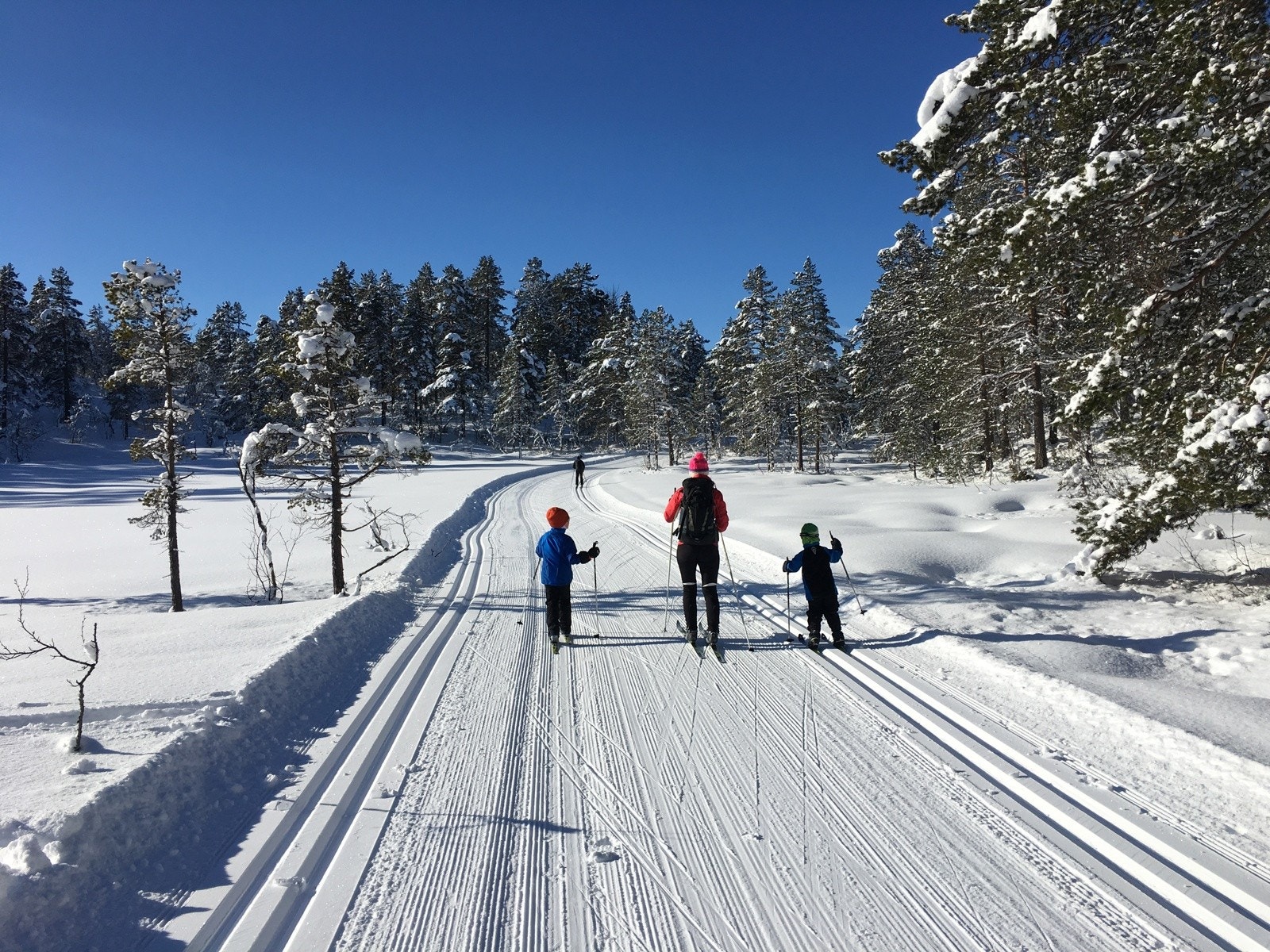 Familie på tur i perfekt preparerte skiløyper til både klassisk-og skøyting Galleribilde