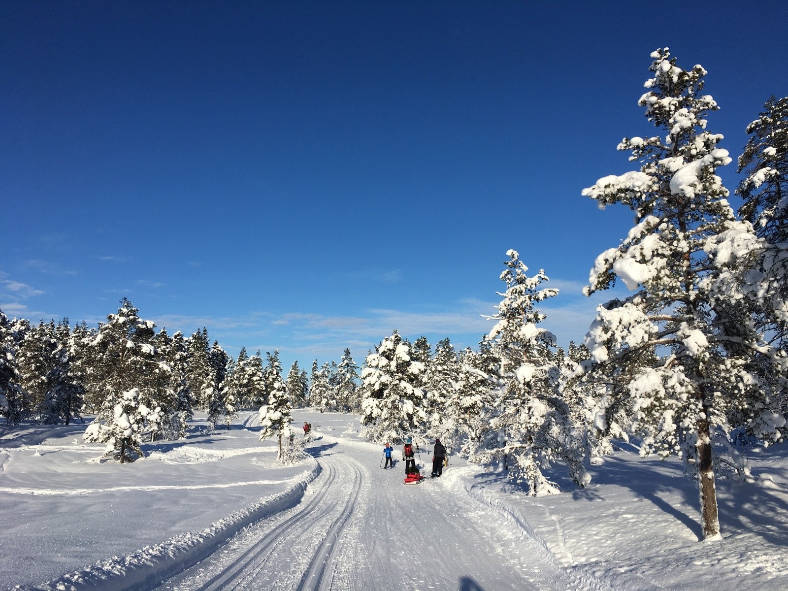 Vinterbilde fra området Galleribilde