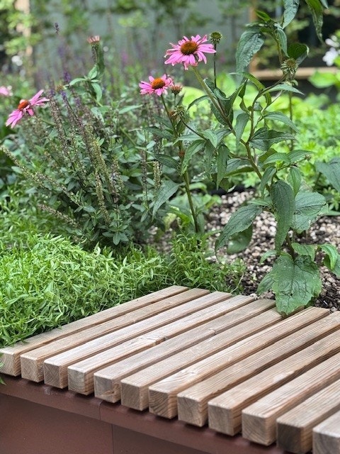 Fra felles takterrasse. Galleribilde