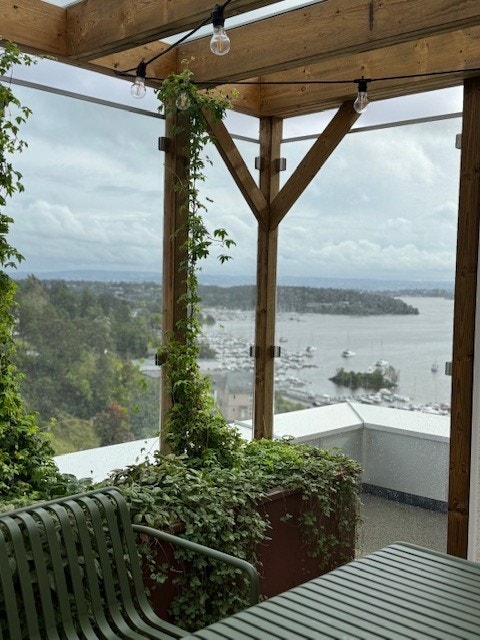 Utsikten fra takterrassen Galleribilde