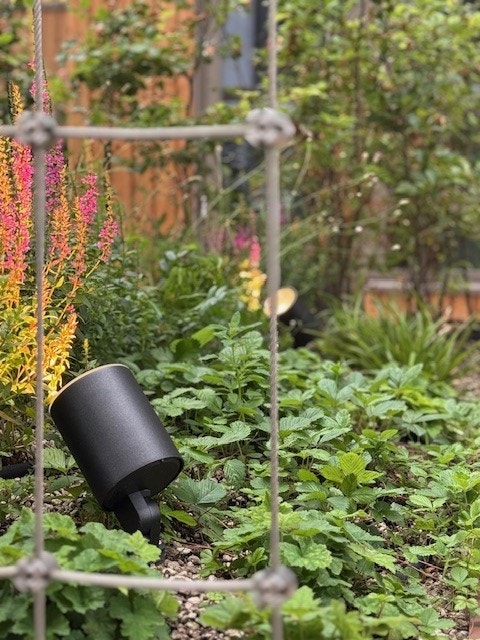 Fra felles takterrasse. Galleribilde