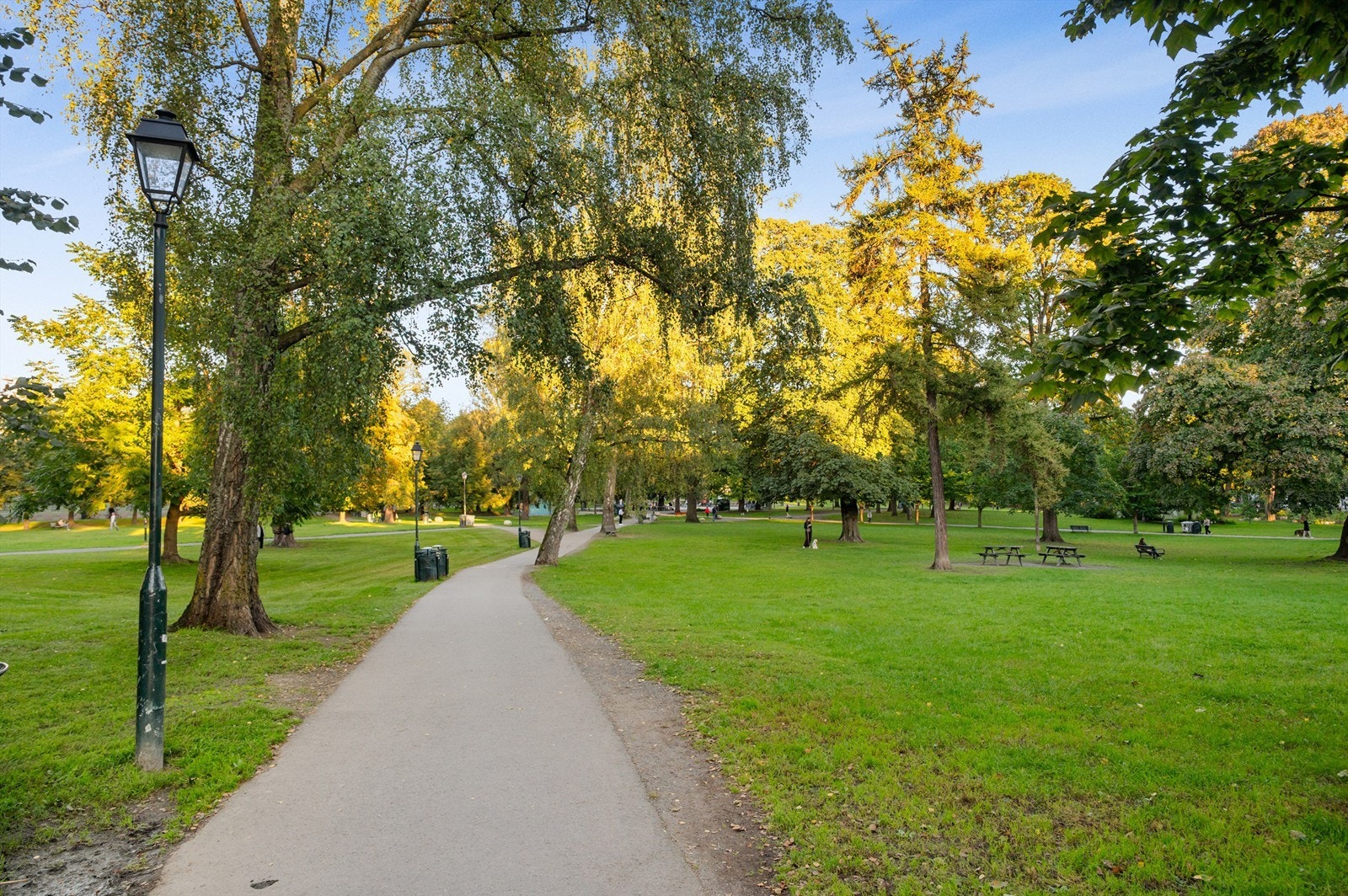 Sofienbergparken, som du finner like utenfor døren, bugner av flott beplantning og hyggelig sittegrupper der sommerens late dager kan nytes. Galleribilde