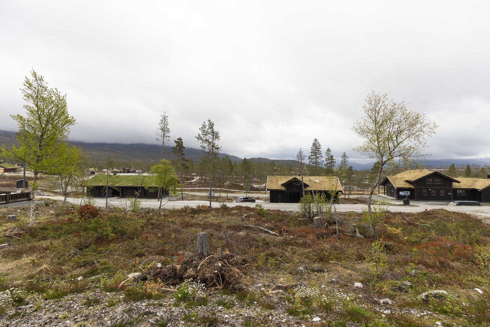 Turuhaugen 18 Galleribilde