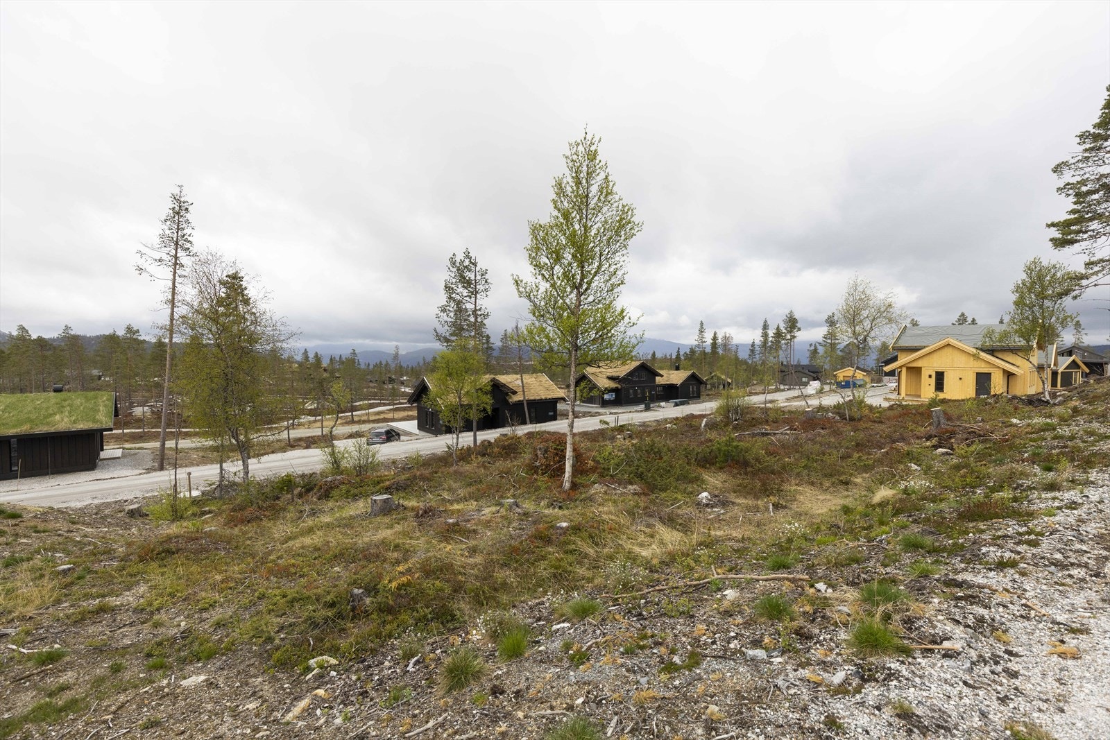 Turuhaugen18- Hyttene rundt har kommet opp og beliggenheten er dermed etablert Galleribilde