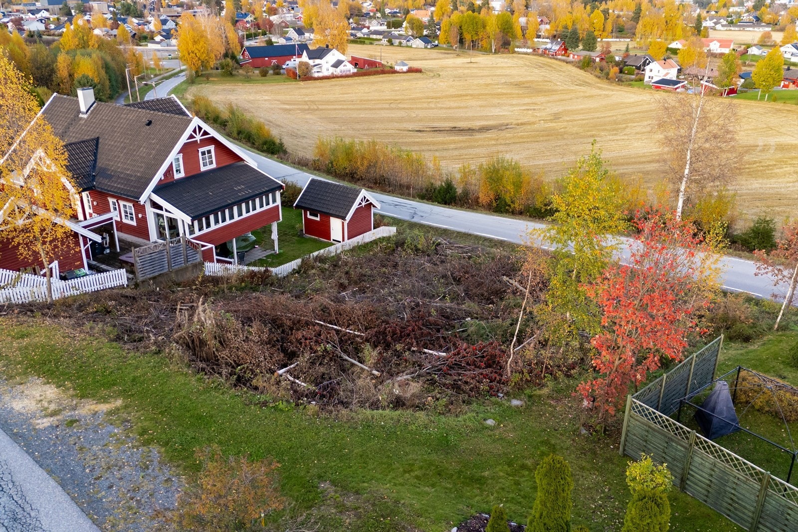 Naturtomt Galleribilde
