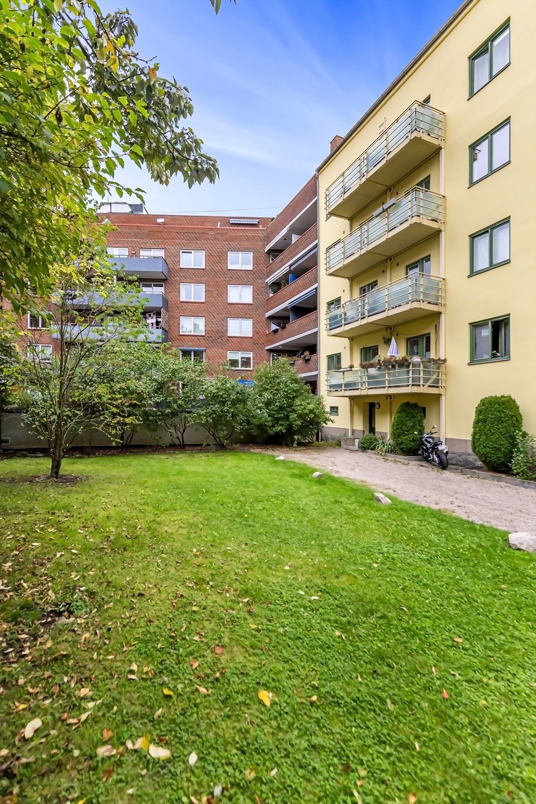 Frodig, stor og skjermet bakgård. Galleribilde