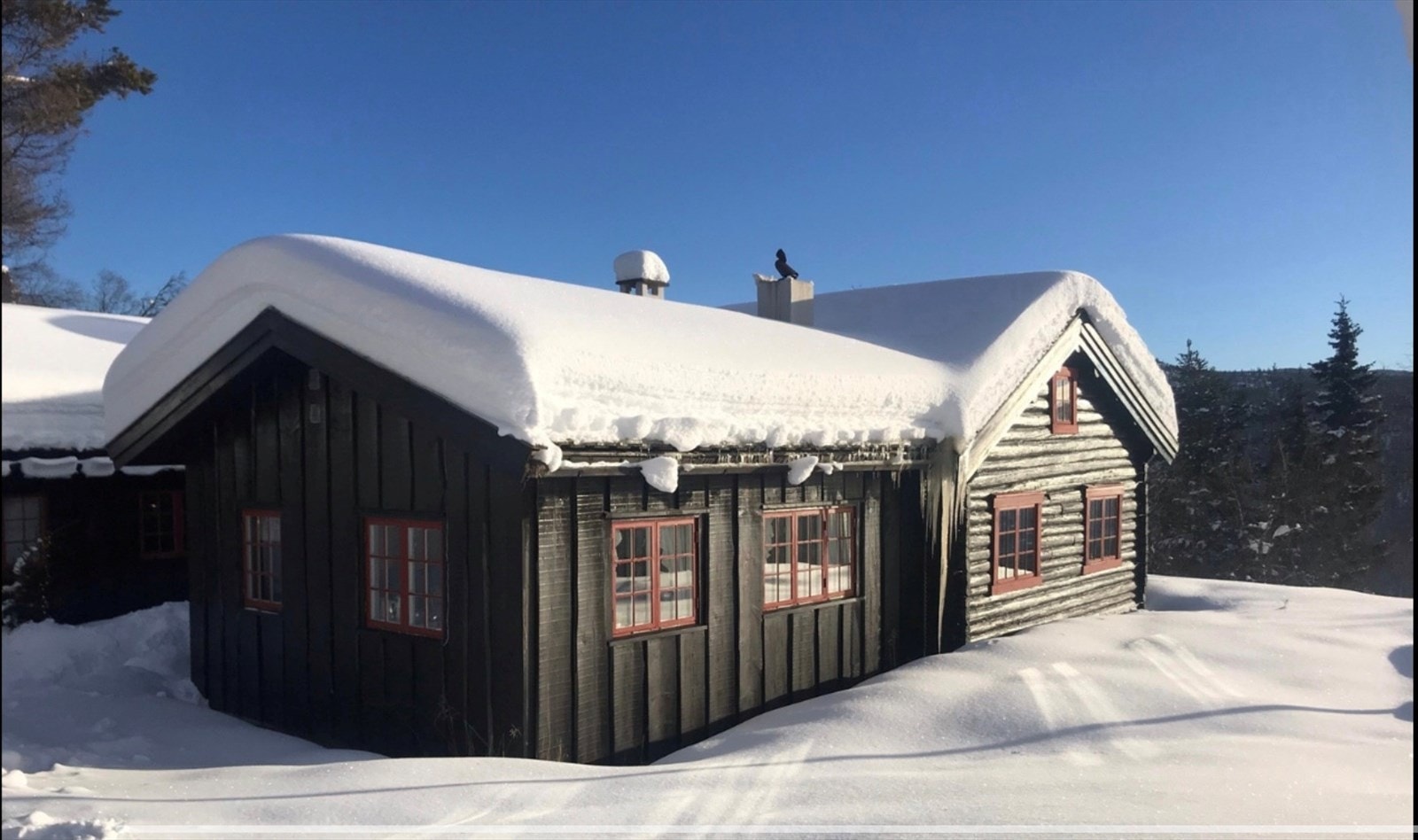 Vinter - selgers foto Galleribilde