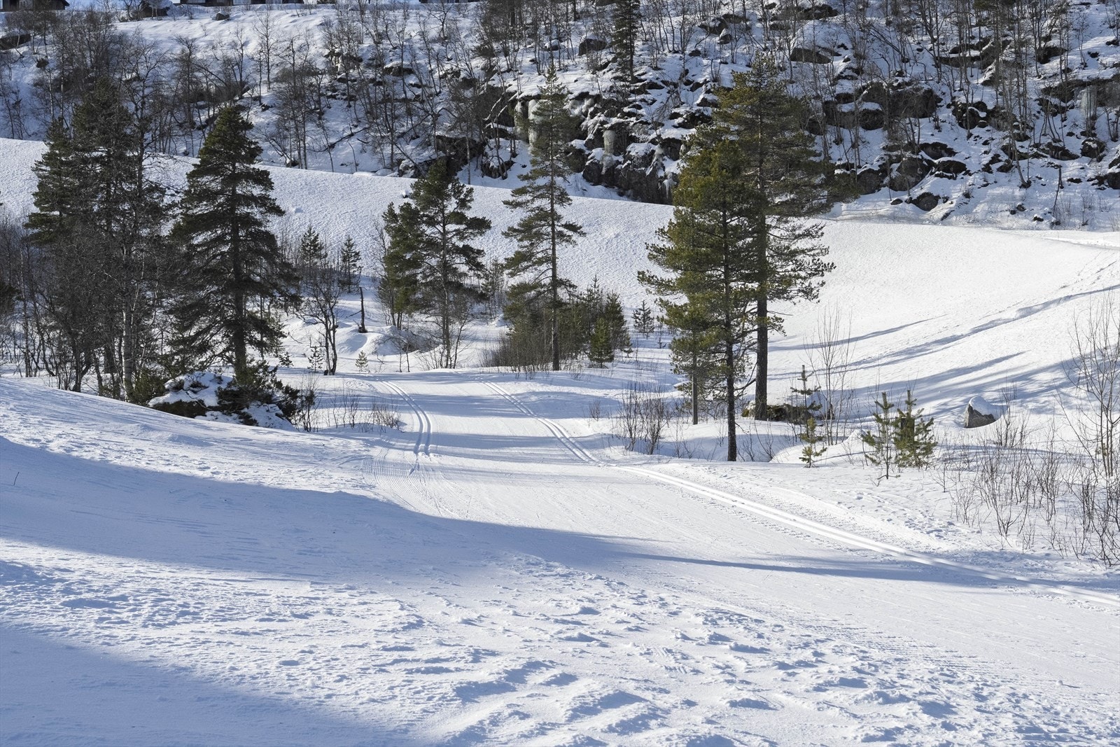 - Flotte preparerte løyper i umiddelbar nærhet - Galleribilde