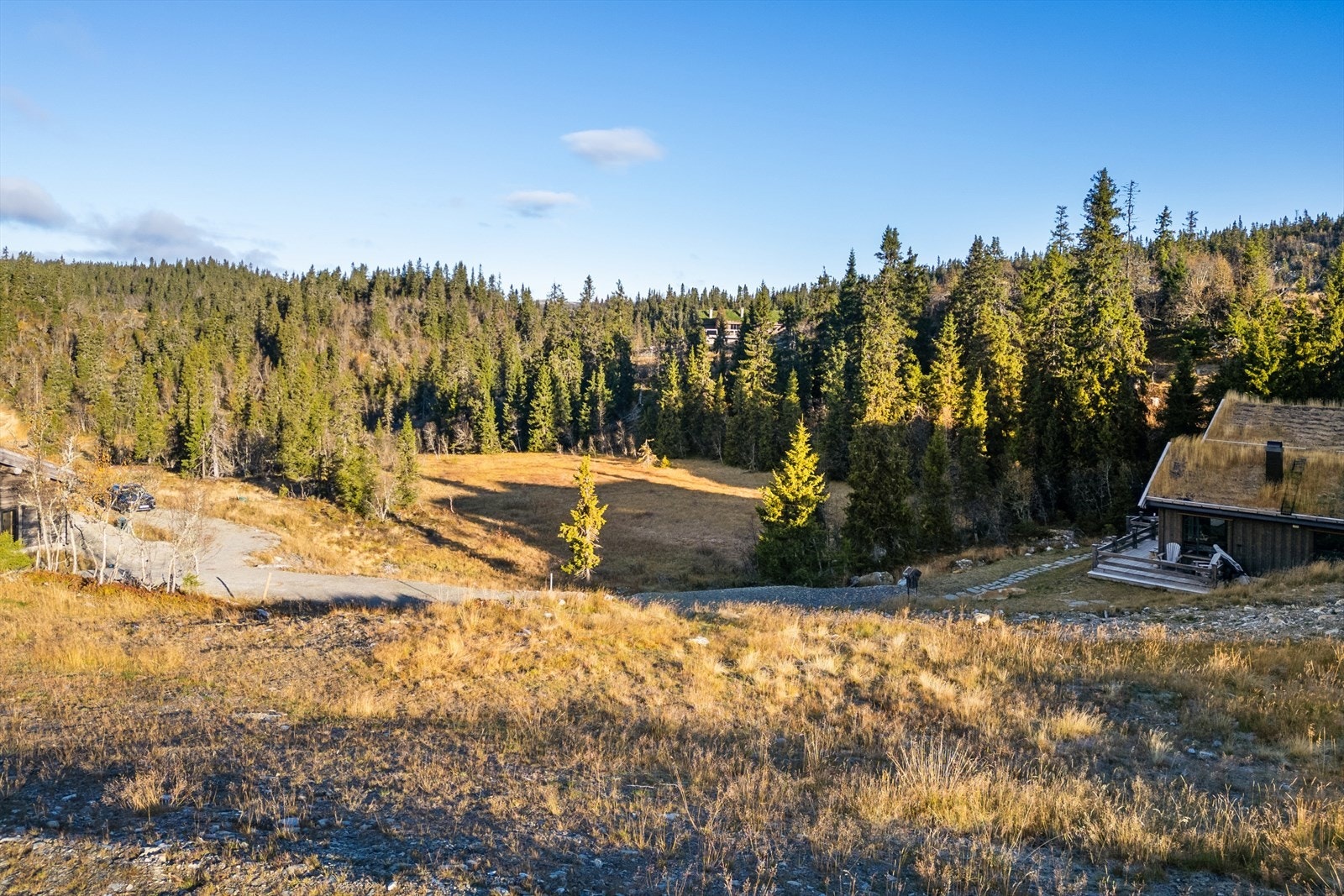 Flere_bilder Galleribilde