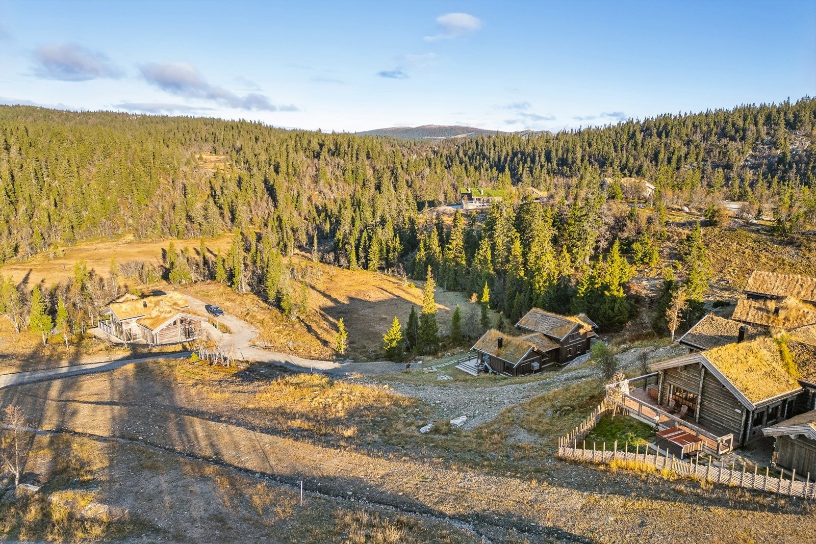 God plass og fine solforhold. Galleribilde