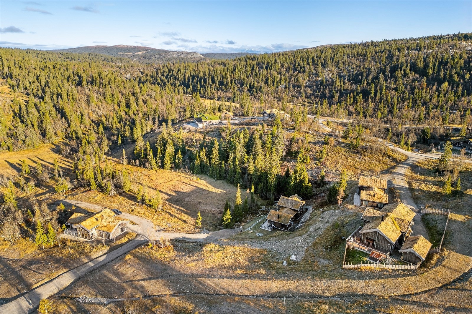 Rolig område med naturen tett på. Galleribilde