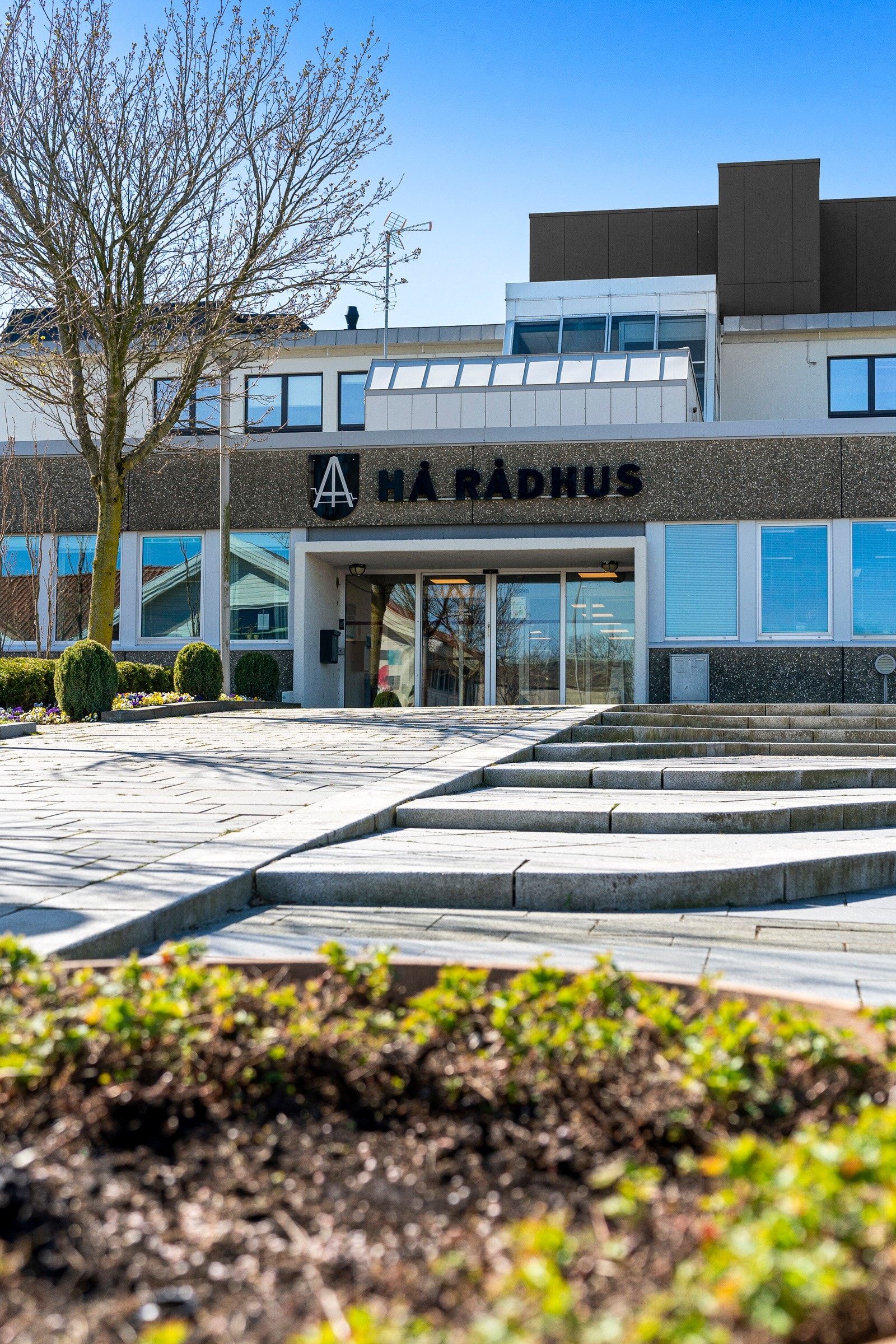 Nærområde Galleribilde