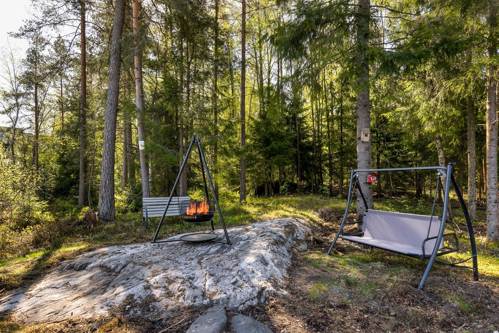 Fra hagen er skogen nærmeste nabo Galleribilde