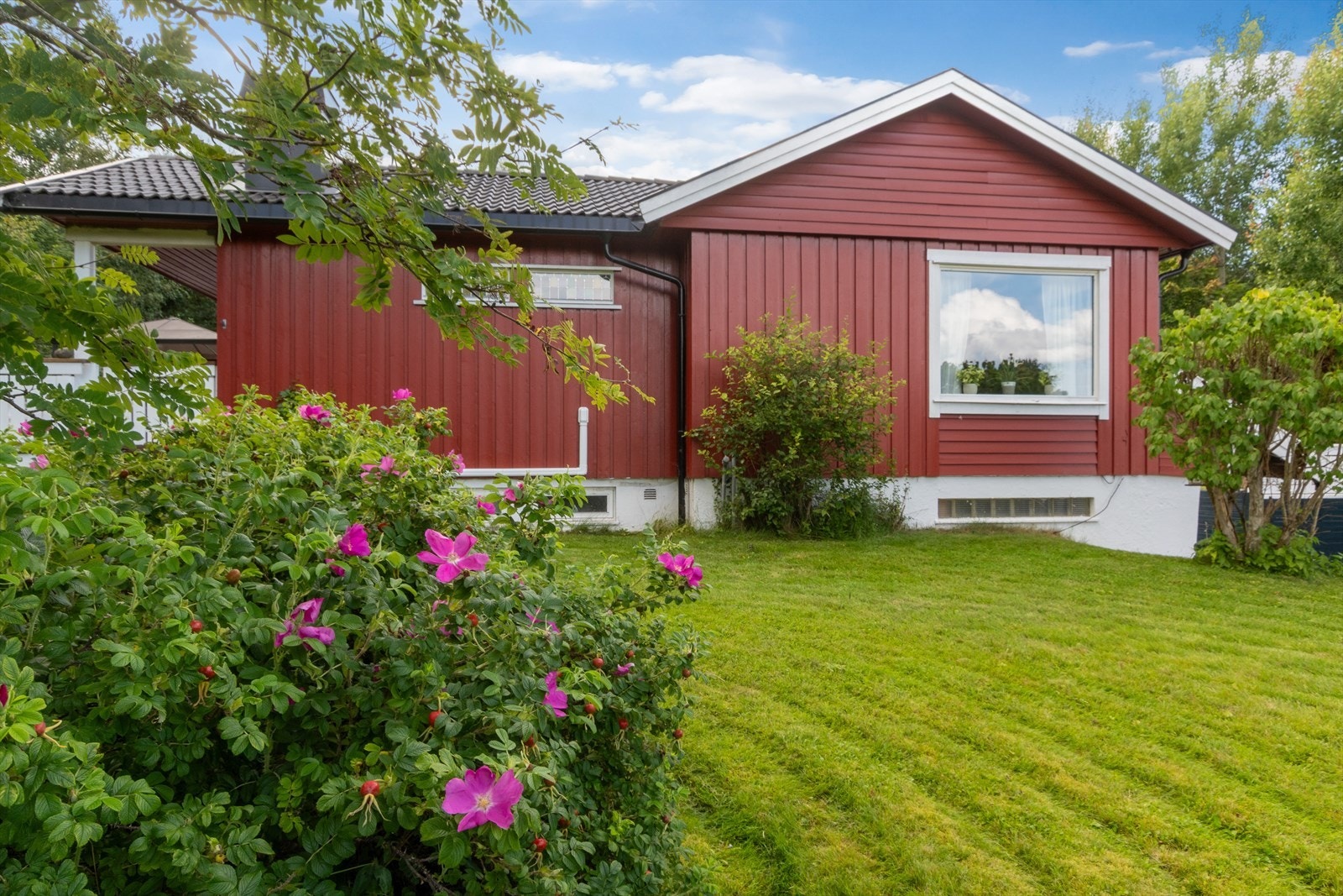Frodig tomt med fin beplanting Galleribilde