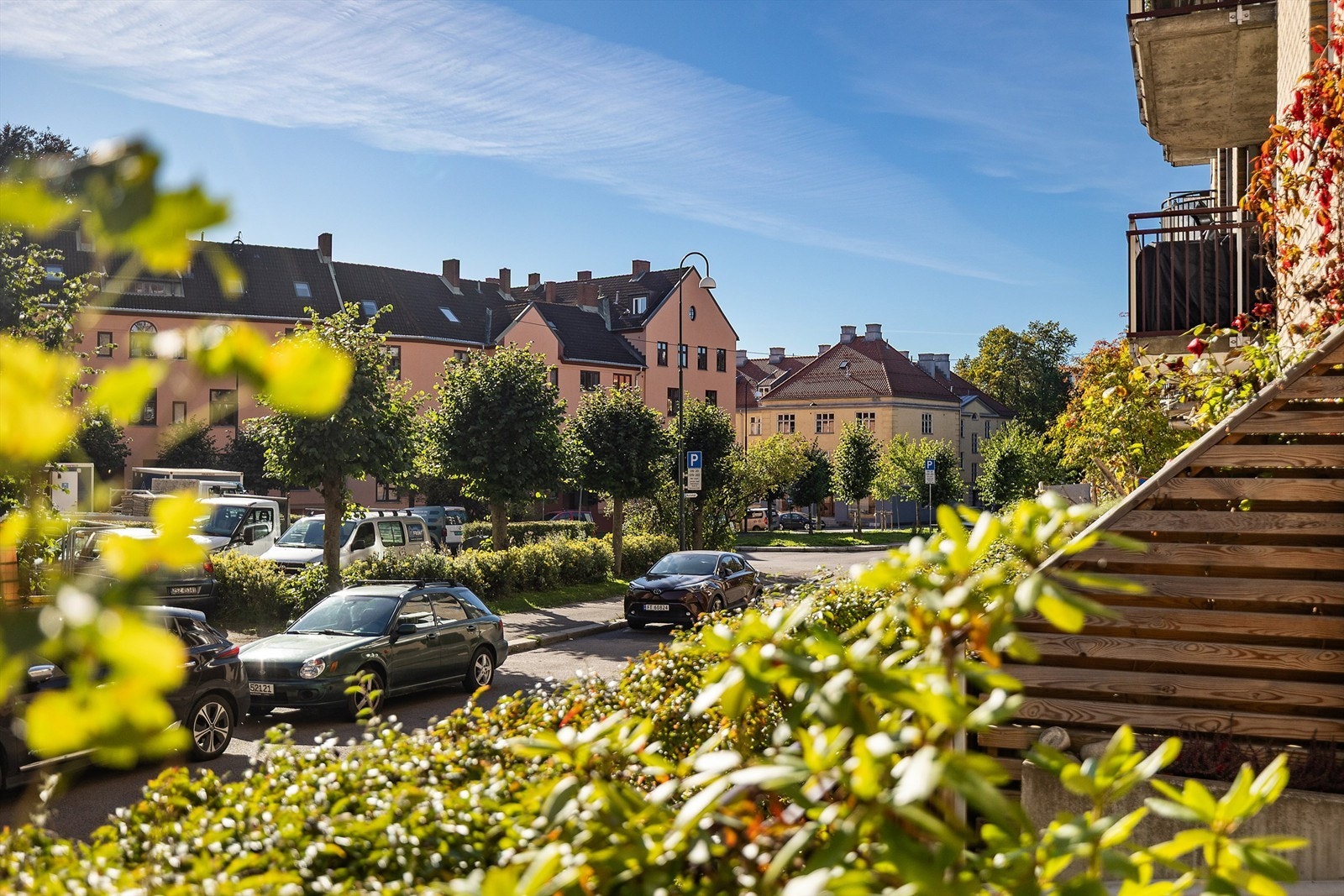 Idyllisk og grønt utsyn fra markterrassen. Galleribilde