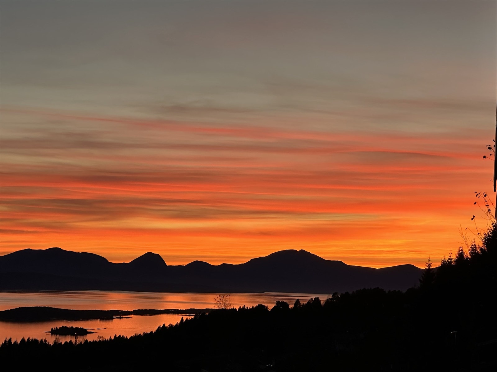 Selger bilder - utsikt Galleribilde