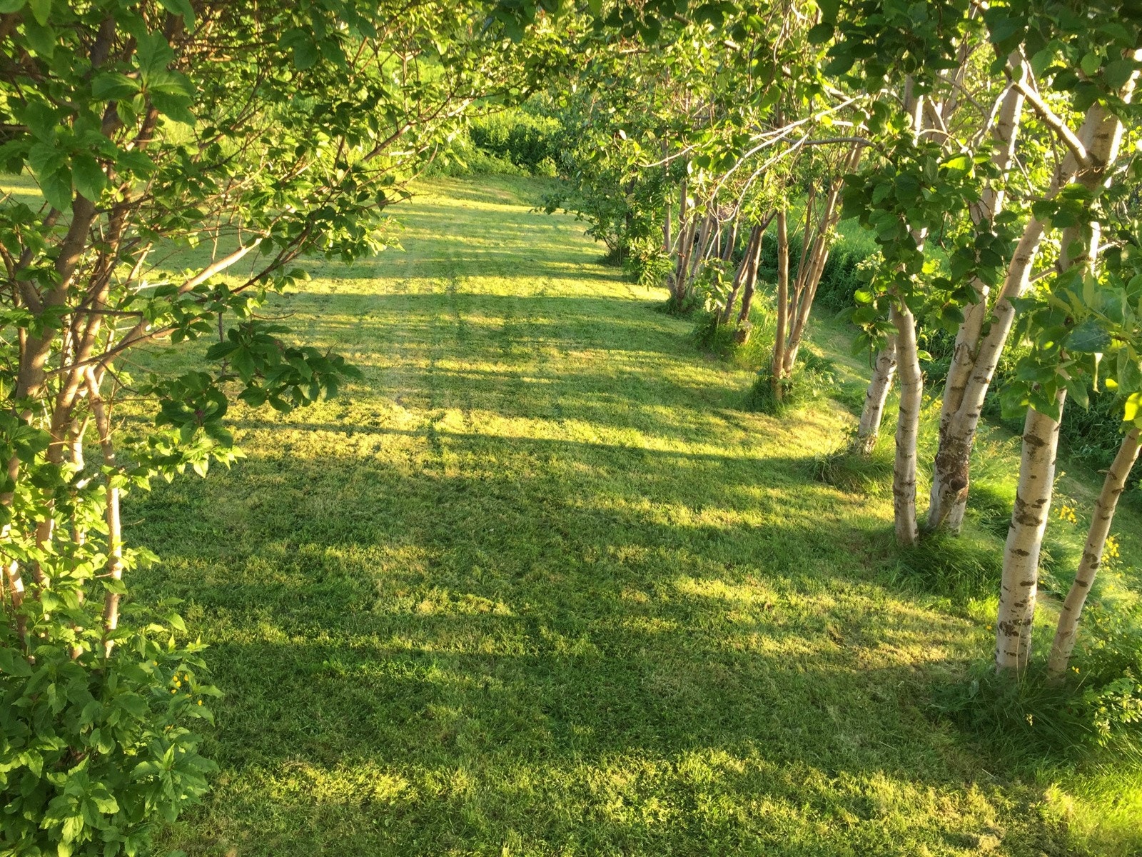 Foto Privat Galleribilde