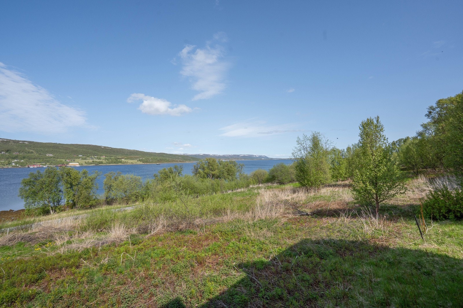 Utsikten fra boligens veranda Galleribilde