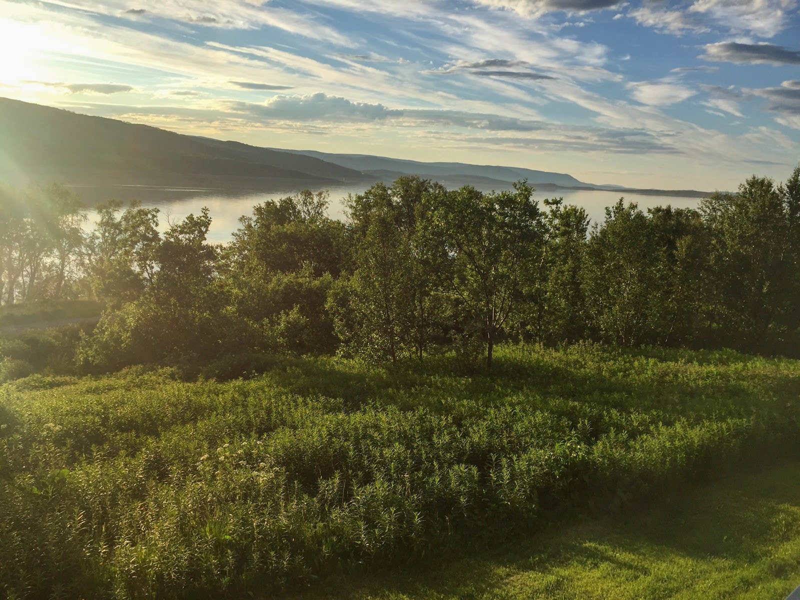 Foto Privat Galleribilde