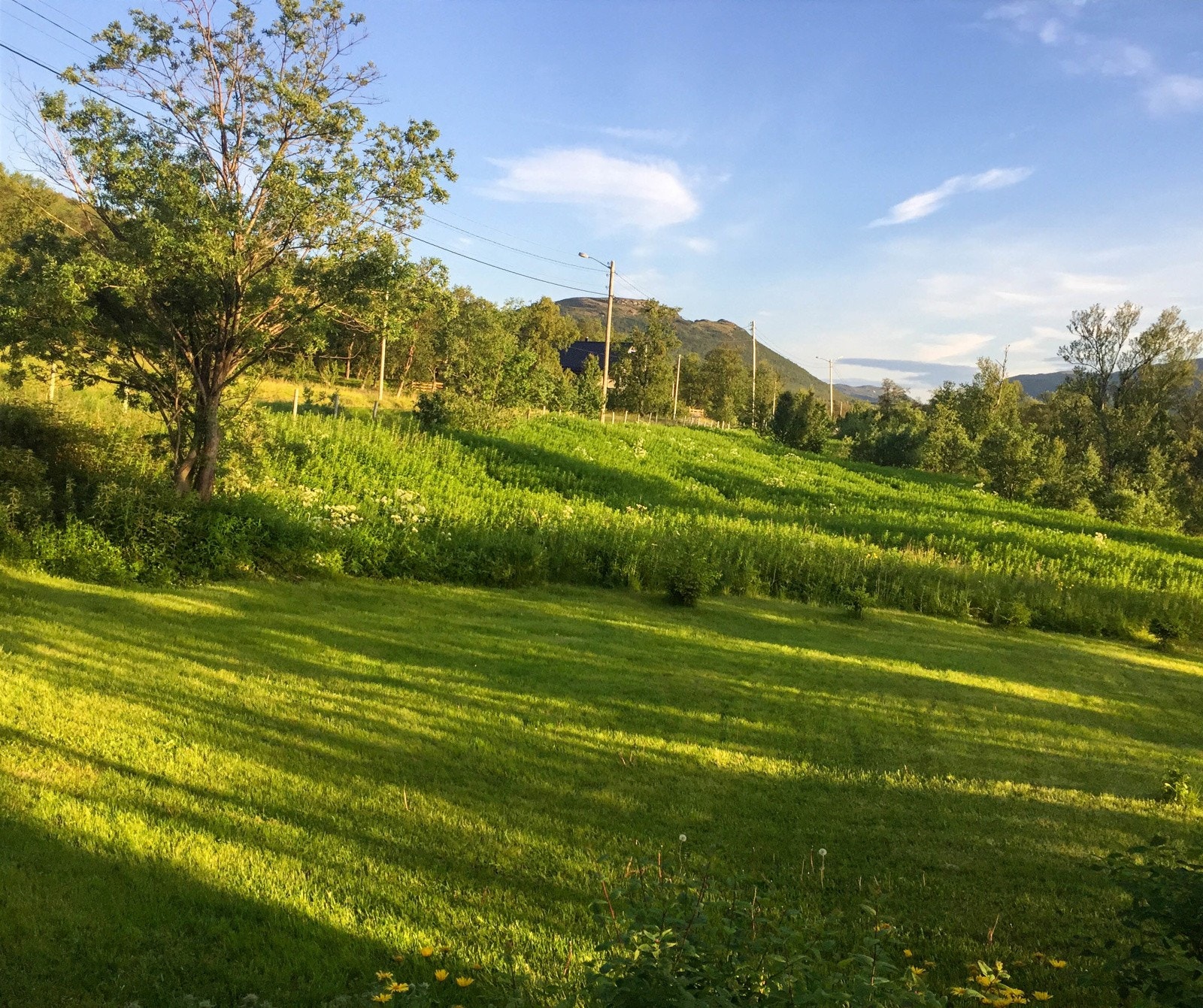 Foto Privat Galleribilde