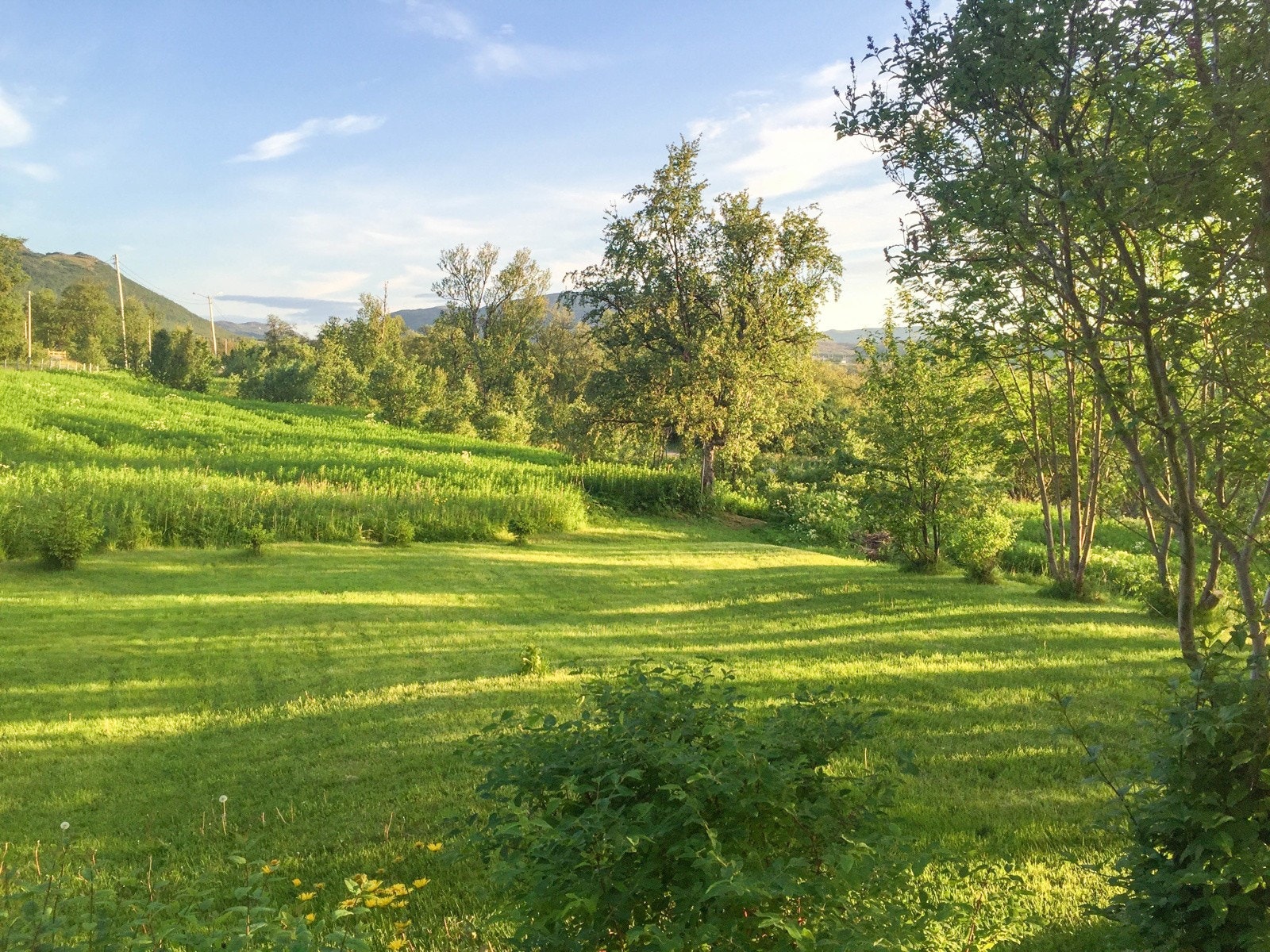 Foto Privat Galleribilde