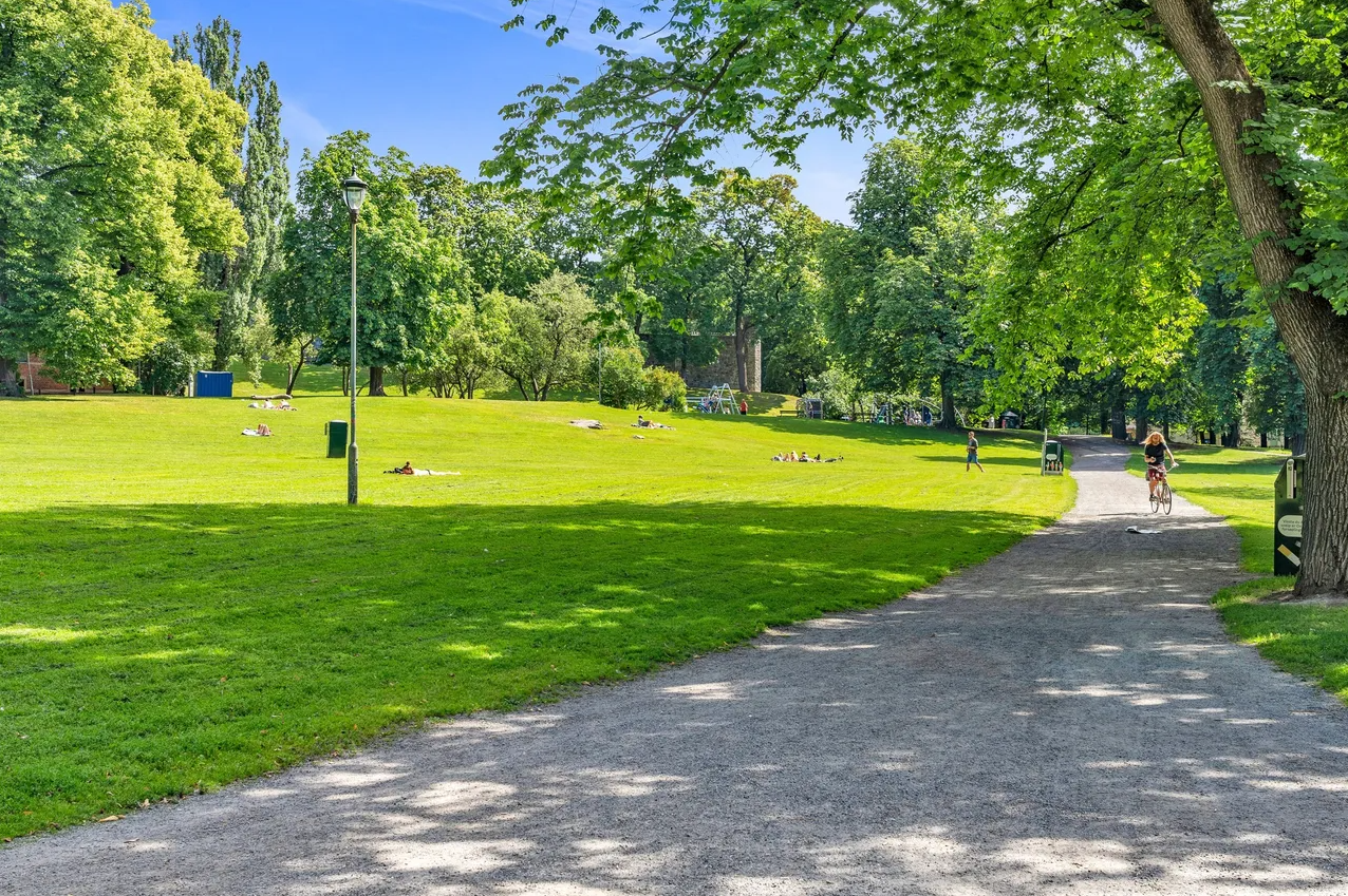 Tøyenparken har nydelige områder man kan oppholde seg, sommer som vinter. Galleribilde