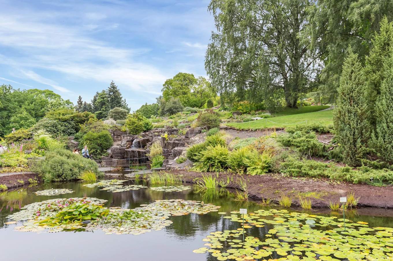 Botanisk hage og Naturhistorisk museum ligger en kort gåtur unna! Galleribilde