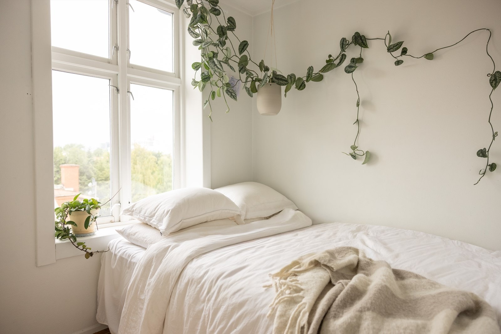 Soverommet har store vindusflater som slipper inn godt med naturlig lys. Galleribilde