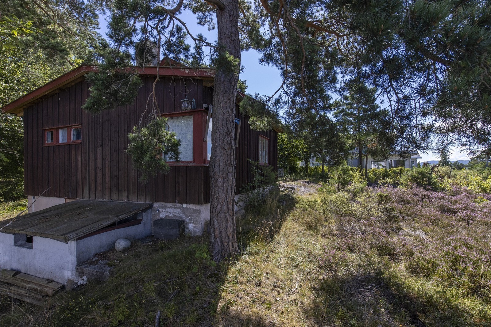 Tomten er ikke opparbeidet og bebyggelsen bærere preg av behov for oppgradering. Galleribilde