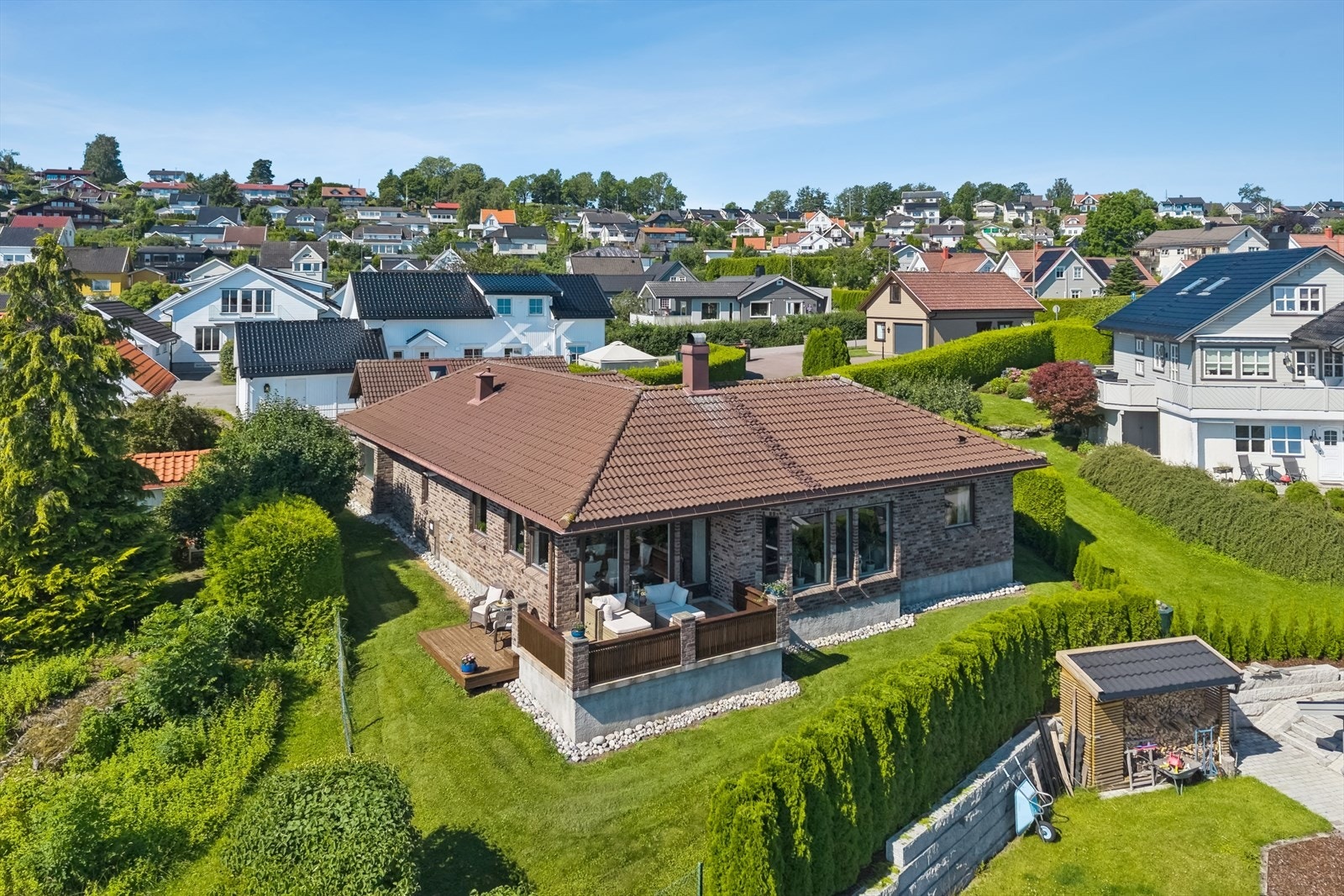 Pent opparbeidet tomt med hekk og gressplen Galleribilde