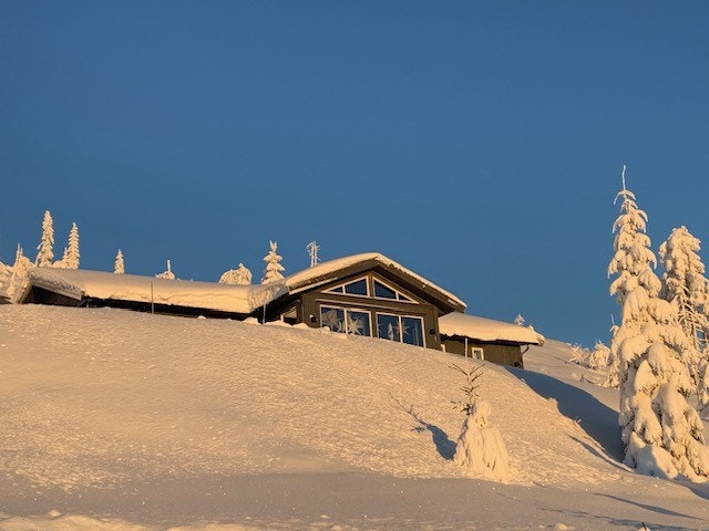 Selgers private vinterbilde. Galleribilde