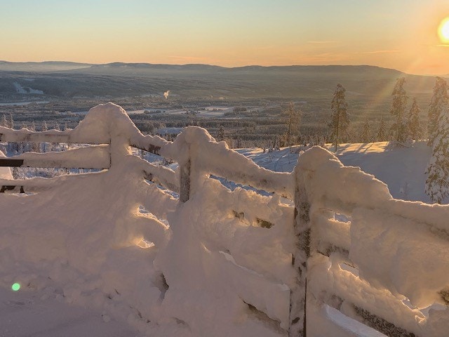 Selgers private vinterbilde. Galleribilde