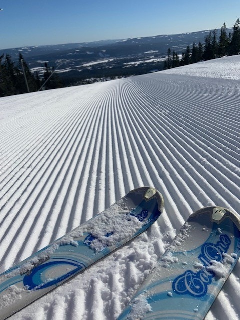 Selgers private vinterbilde. Galleribilde