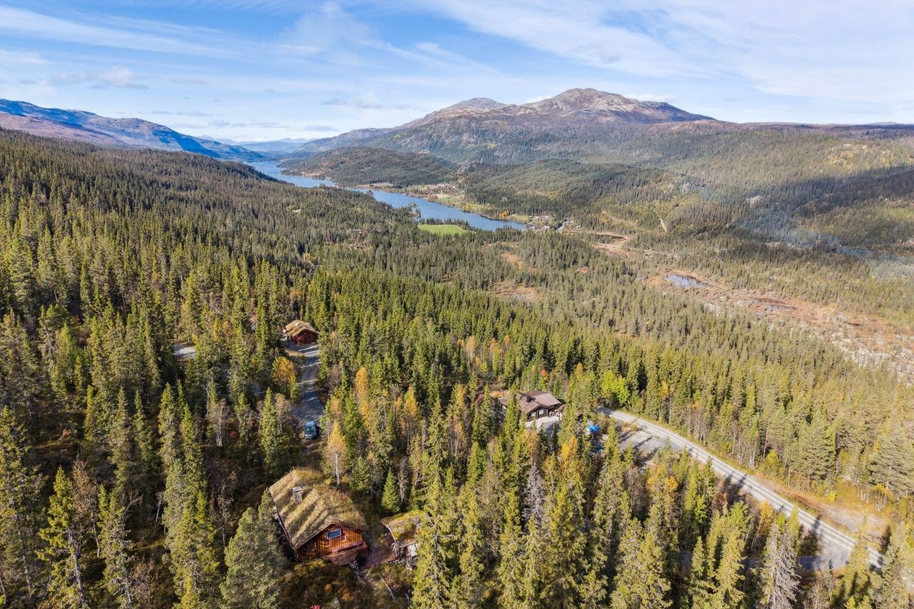 Området er et flott utgangspunkt for turer i Langsua nasjonalpark og byr på et rikt friluftsliv. Galleribilde