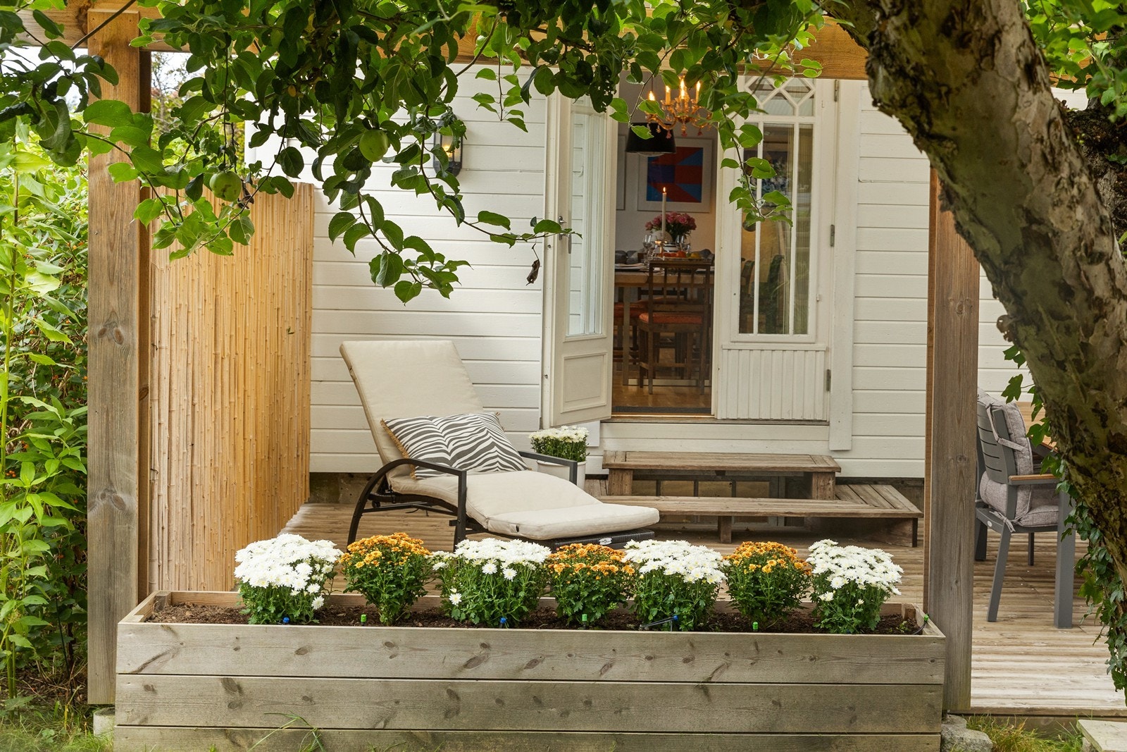 Koselig og usjenert platting. Galleribilde