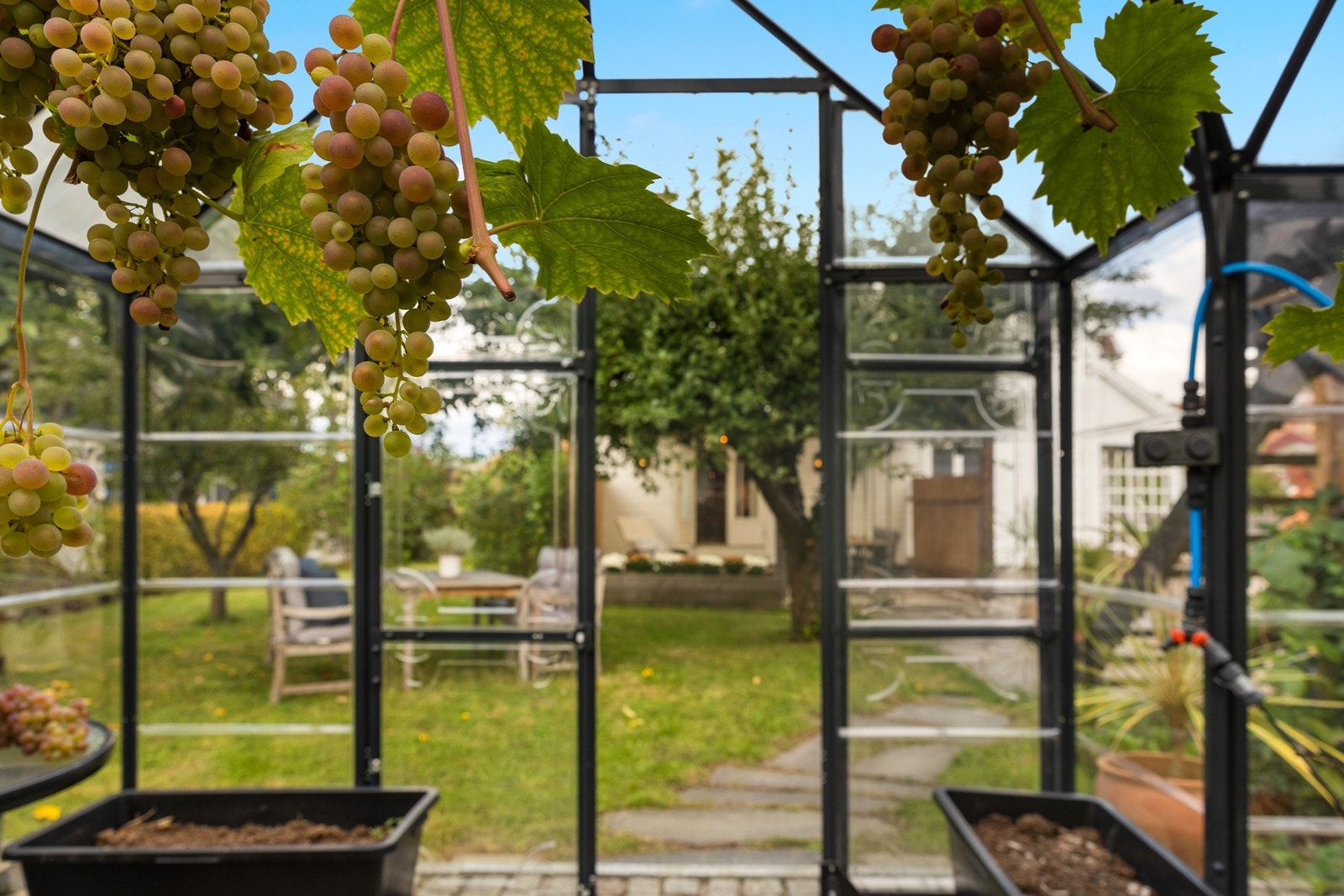 Koselig lite drivhus. Galleribilde