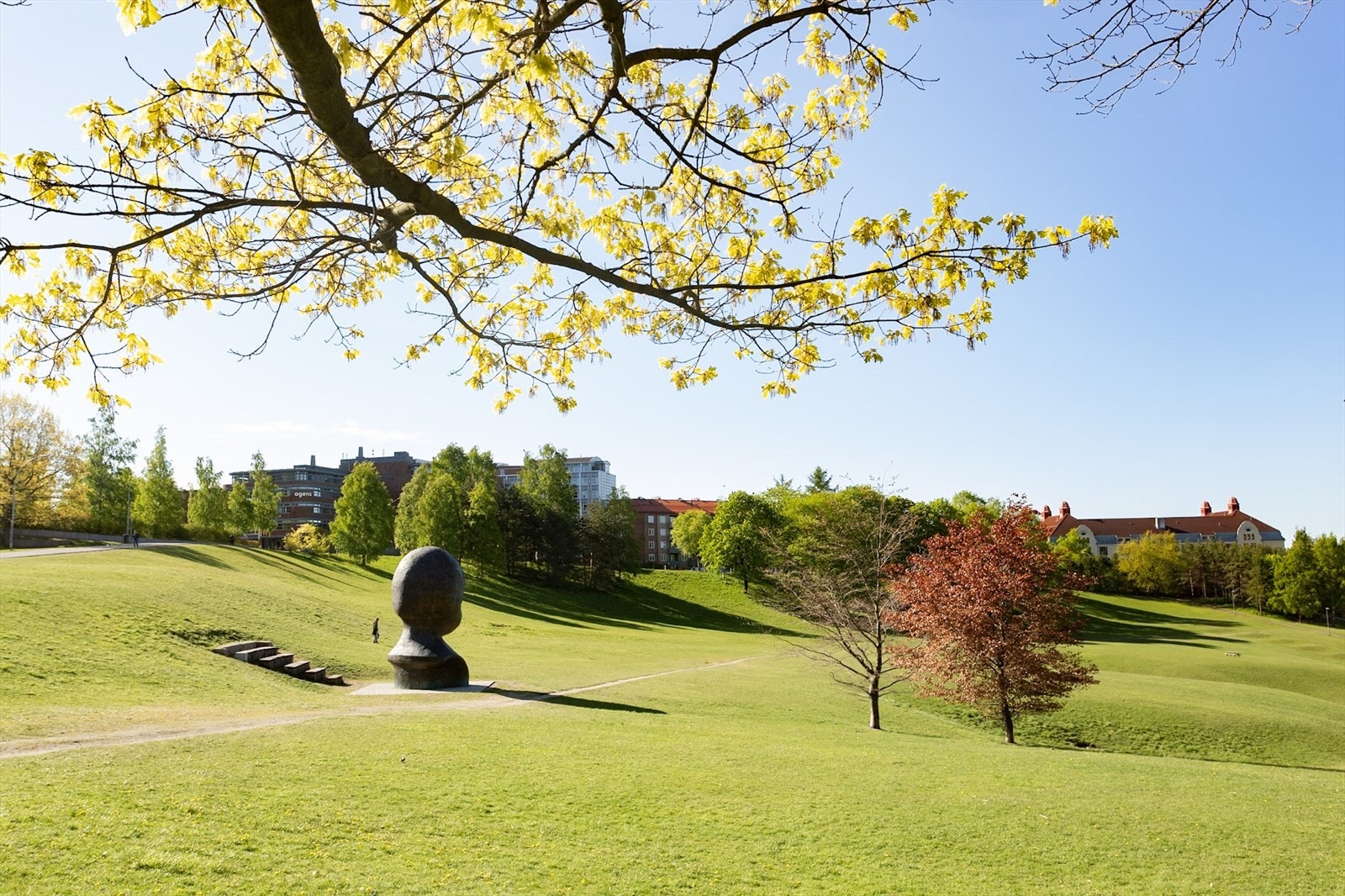 Nærområde. Galleribilde
