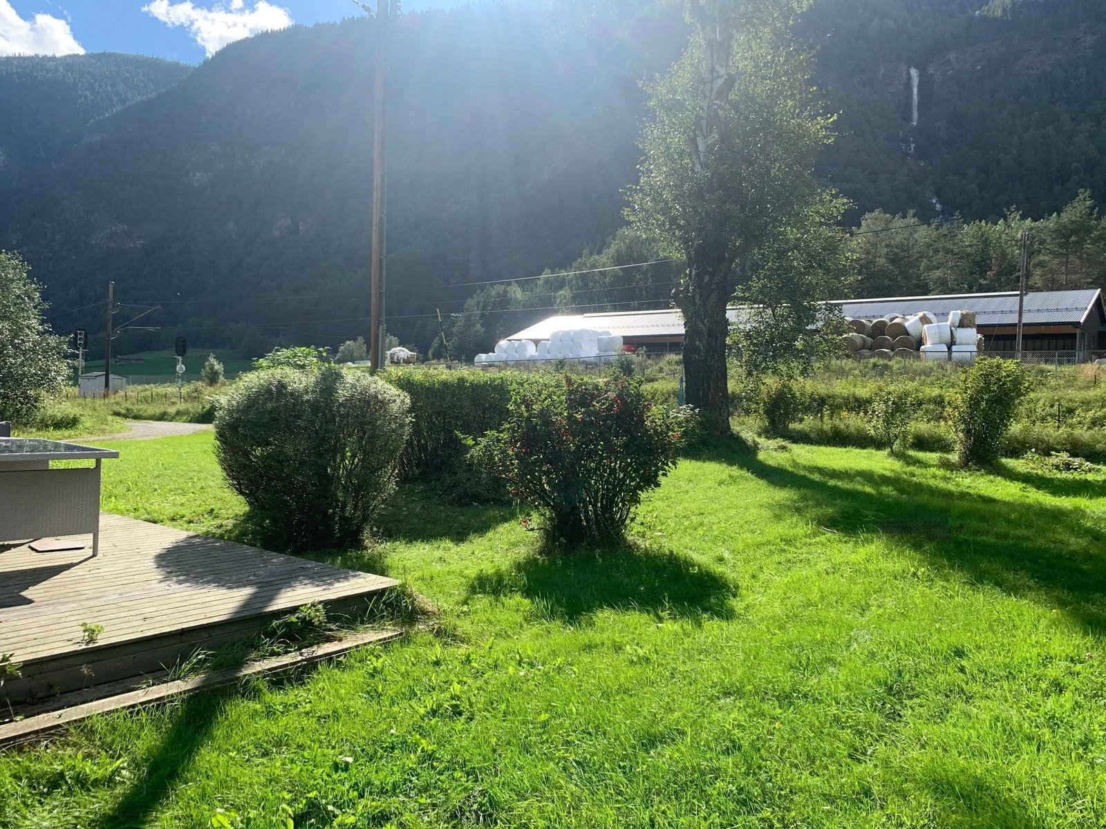 Sommerstemning. Galleribilde