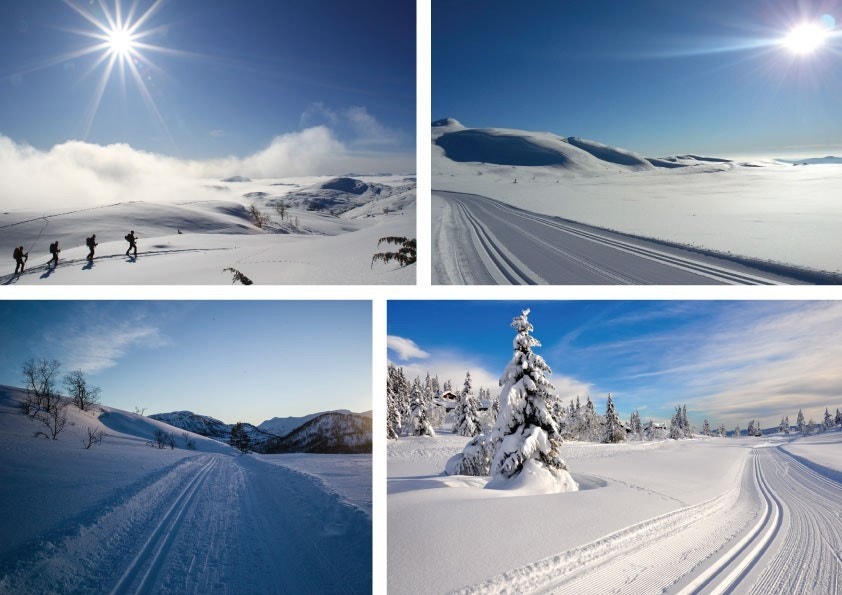 Området i seg selv er en del av Jogledalen som strekker seg helt inn til Øyarvatn hvor elva Kvinen har sitt utløp. Løypa til Jogledalen / Steinbu, Degløypa og Finnstølløypa i umiddelbar nærhet. I område rundt er det god tilgang til det oppkjørte løypenett Galleribilde