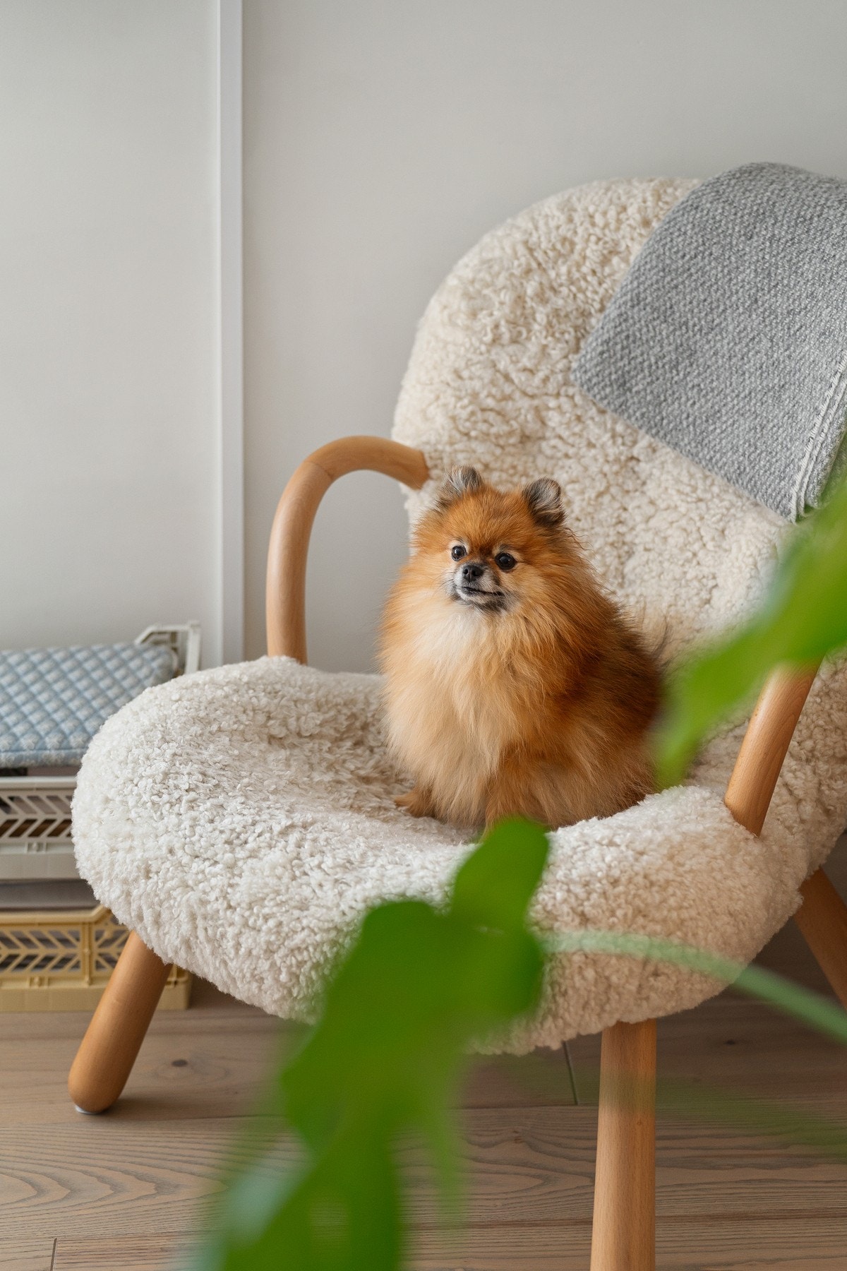 Dyrehold er tillatt, men må søkes styret. Galleribilde