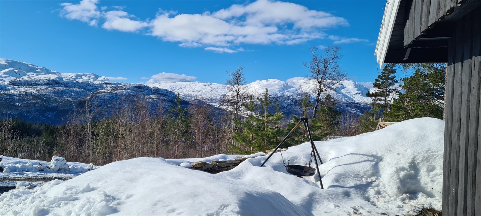 Utsikt vinter Galleribilde
