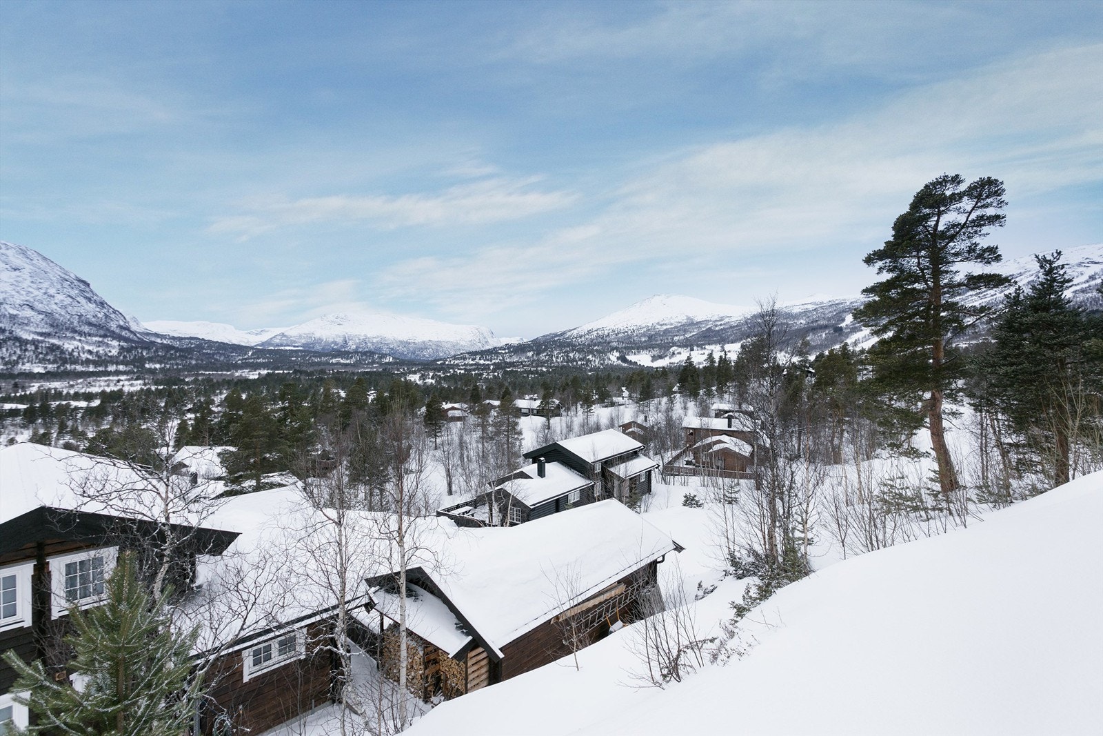 Flott utsikt Galleribilde