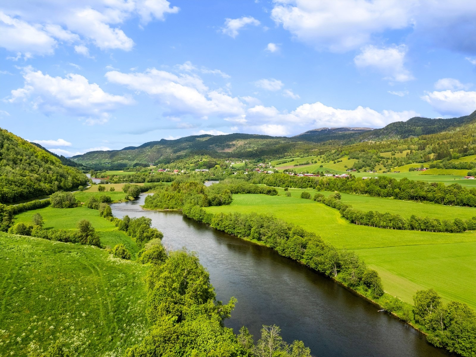 Orkla er en av Norges mest populære elv for laksefiske. Galleribilde