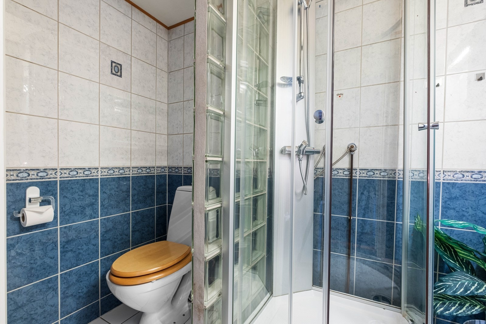 Bak en vegg av glassbyggerstein har badet et gulvmontert toalett. Galleribilde