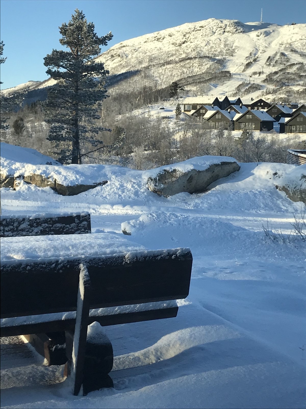 IMG_1624-kopi.jpg Galleribilde