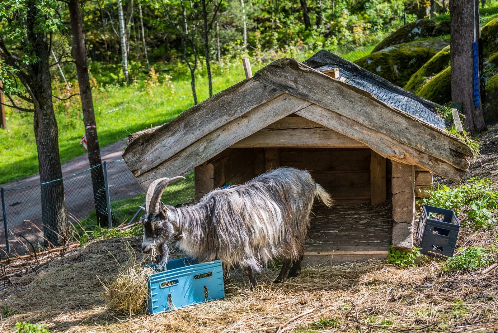 Rustadsaga er et flott turmål for store og små. Galleribilde