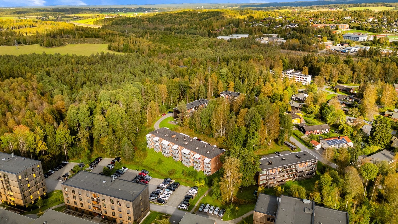 Umiddelbar nærhet til skogen med flere turstier. Galleribilde