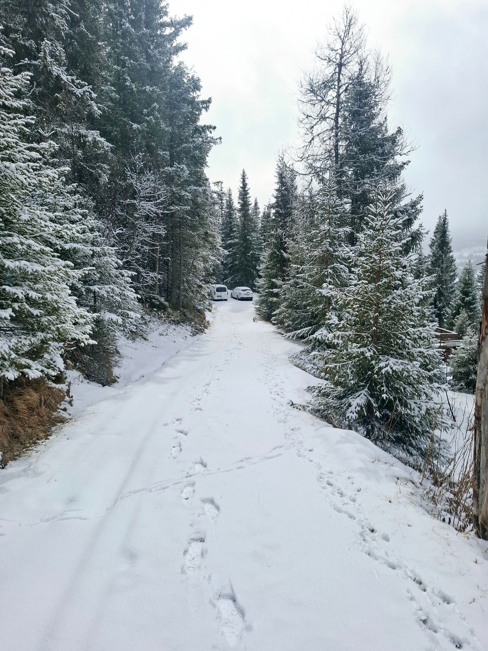 Veien ned til hytta om vinteren med 2 parkeringsplasser. Rett ved døren. Galleribilde