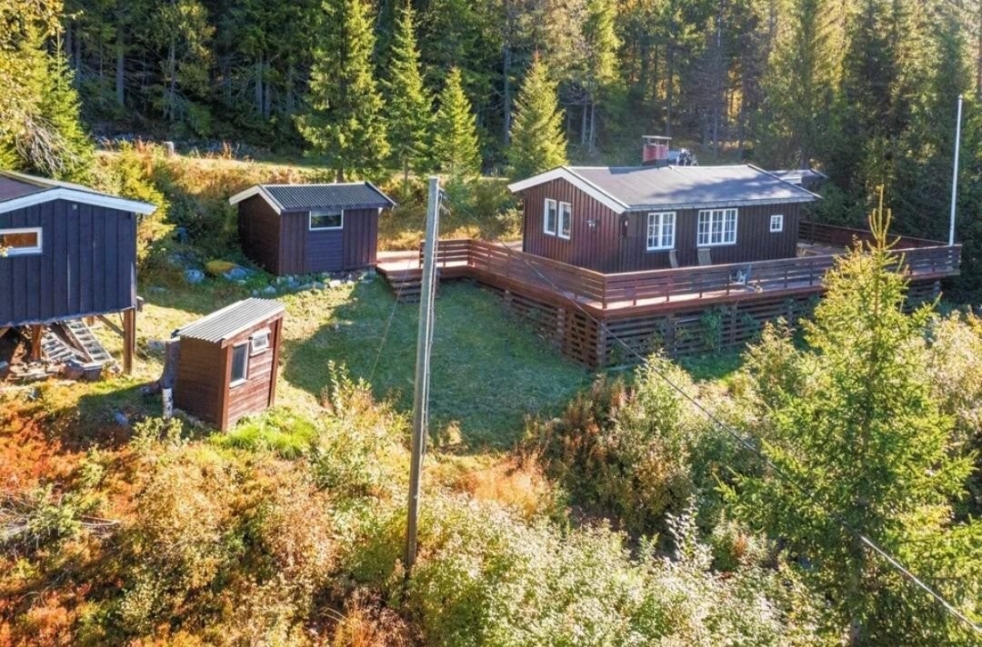 Gammelt bilde før beising. Galleribilde