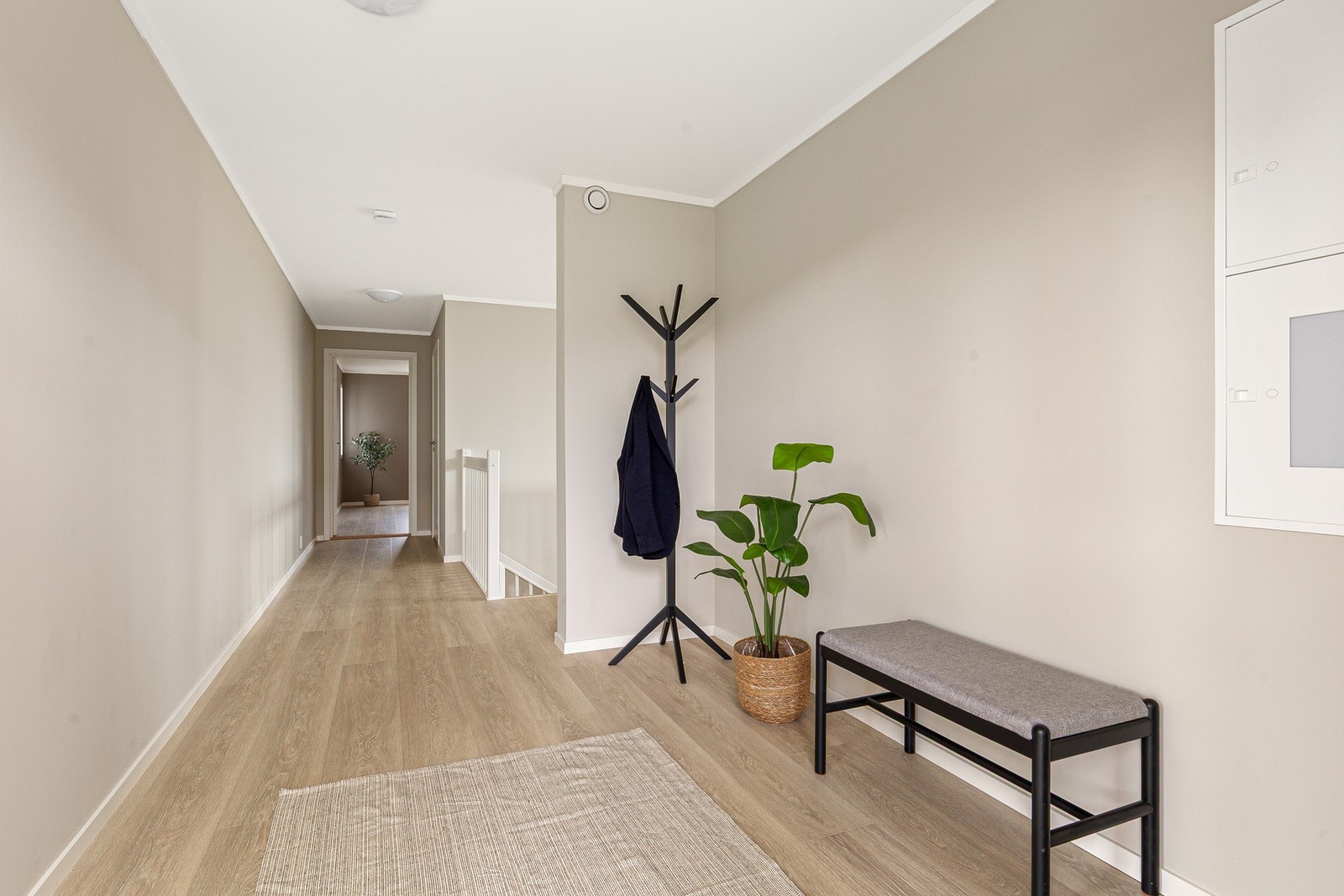 Vegger og himling er tekket med gips Galleribilde